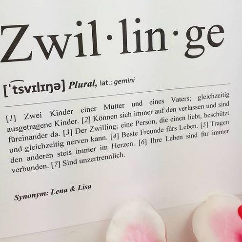 Definition Zwillinge